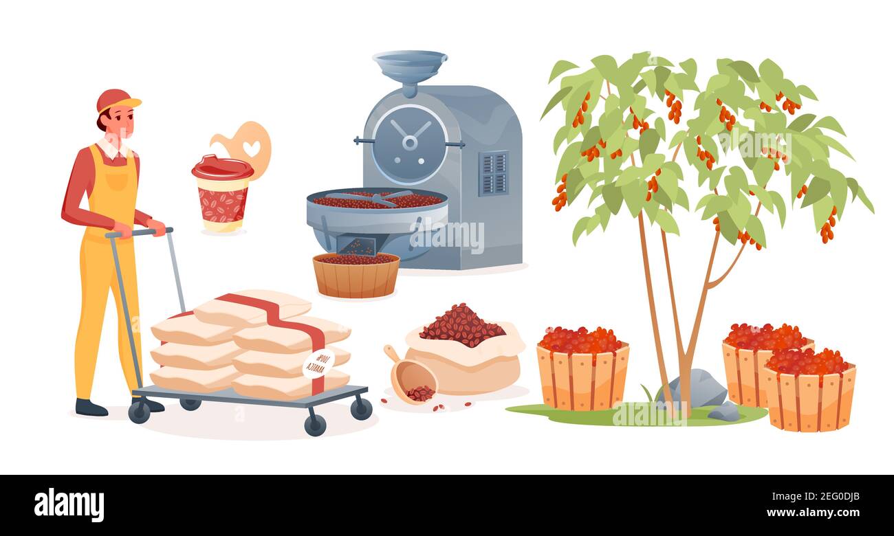 Coffee production set, man working, carrying bags with raw fruits before roasting process Stock Vector