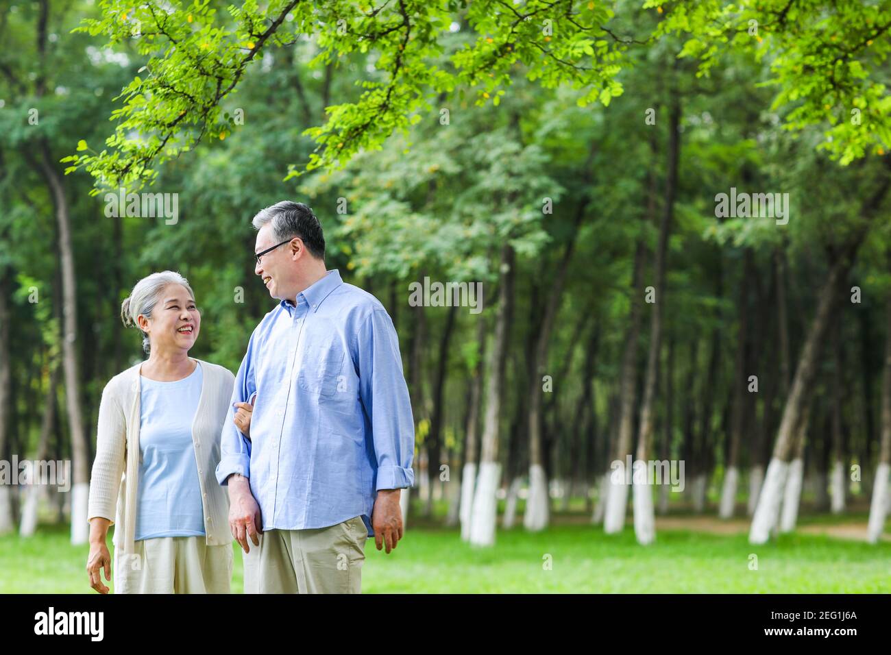 Happy old couple walking in the park hand in hand Stock Photo - Alamy