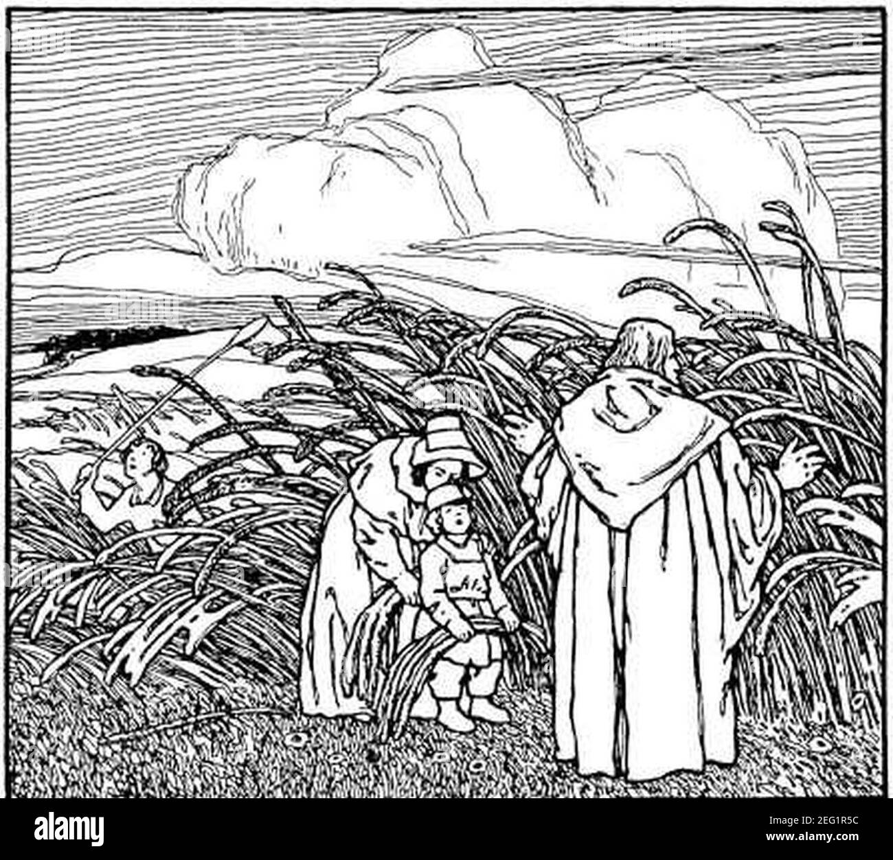 Kornähre Black and White Stock Photos & Images Alamy