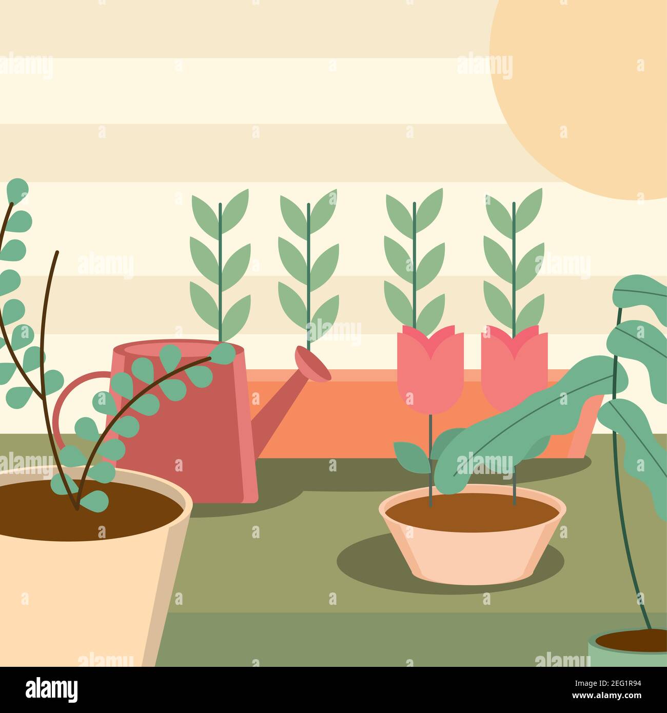 gardening potted plants flowers watering can vector illustration Stock ...