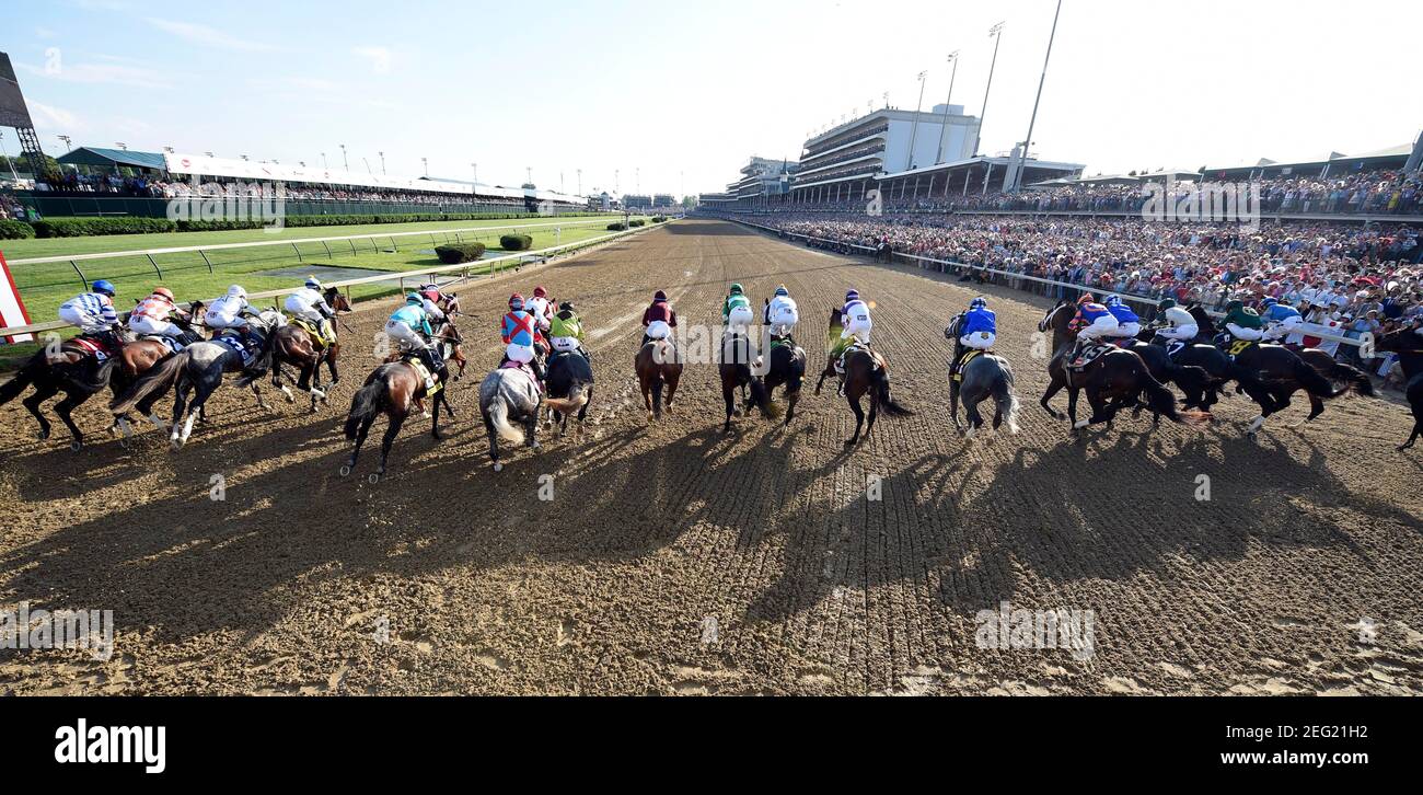 Page 3 Horse Racing Starting Gate High Resolution Stock Photography And Images Alamy