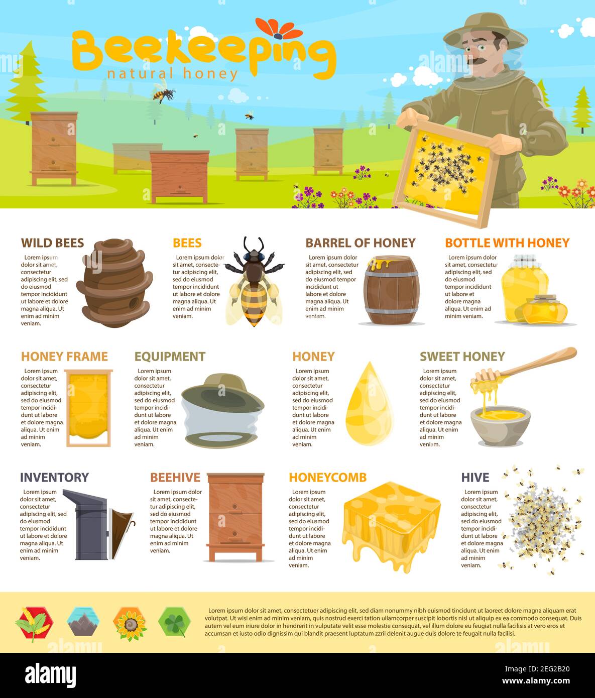Natural Beehive Diagram