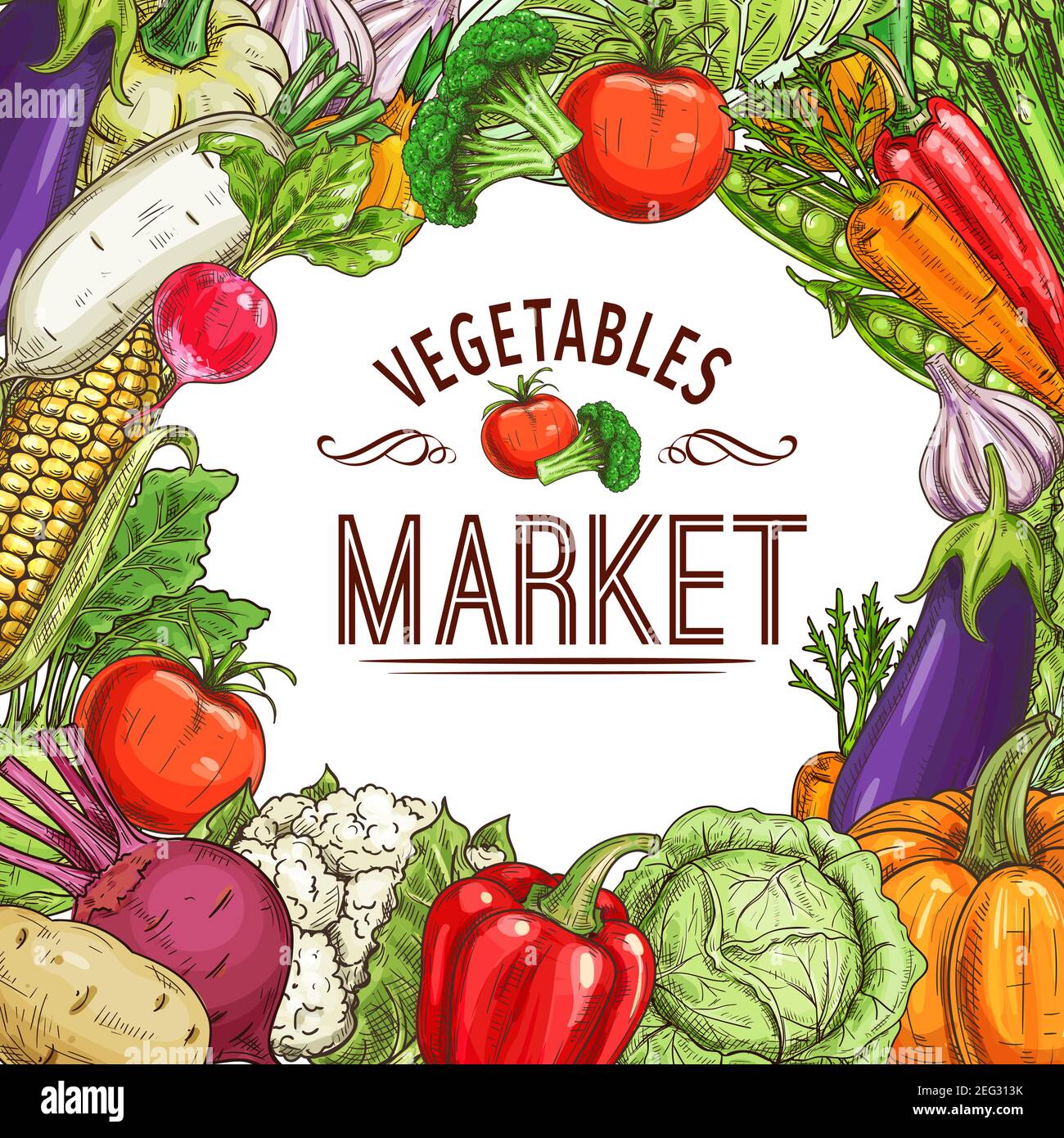 Vegetable market poster with frame of fresh farm veggies sketch. Tomato