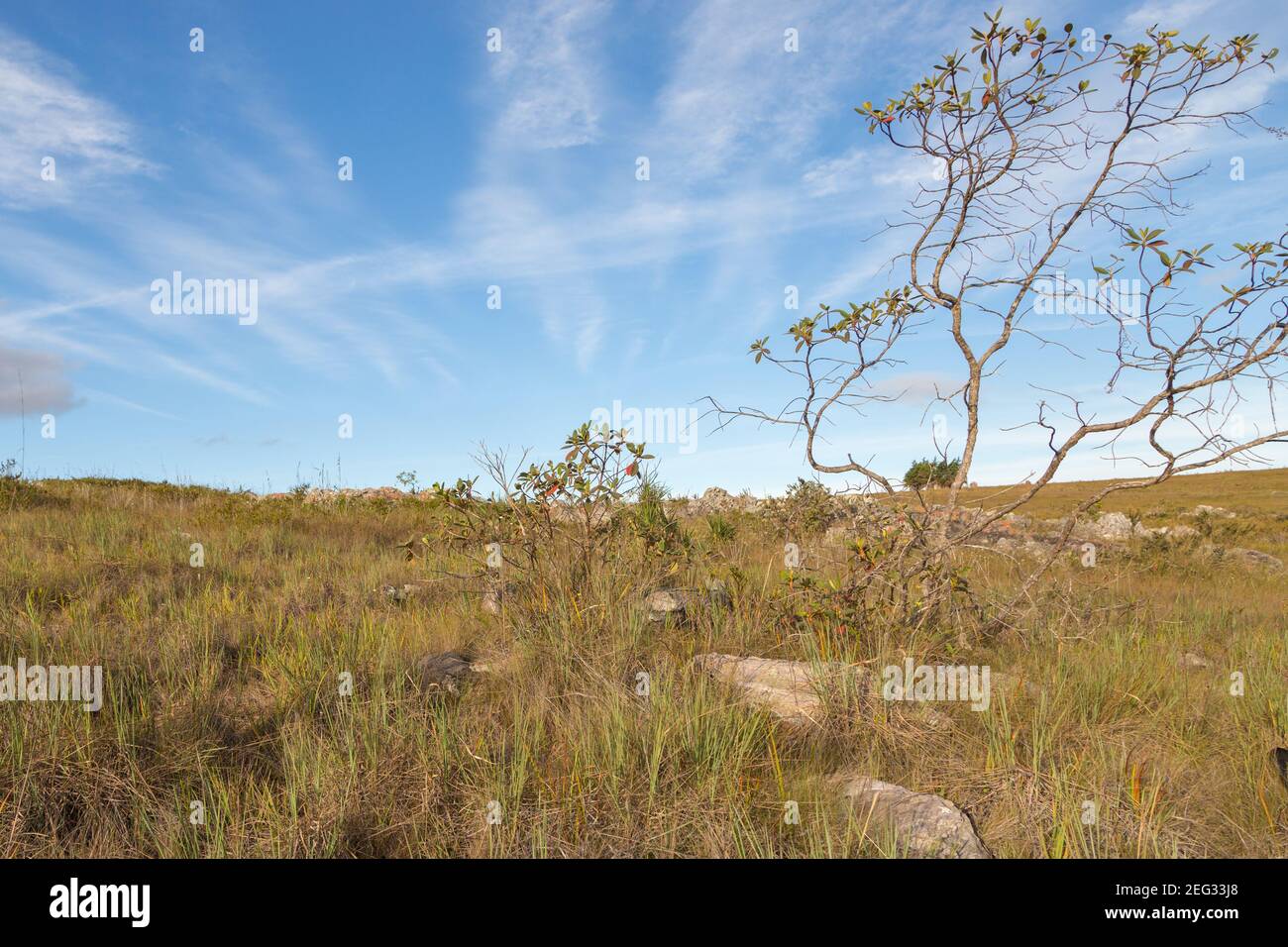 Landscape of the Morro do Camelinho with thin clouds in the blue sky in Minas Gerais, Razil Stock Photo