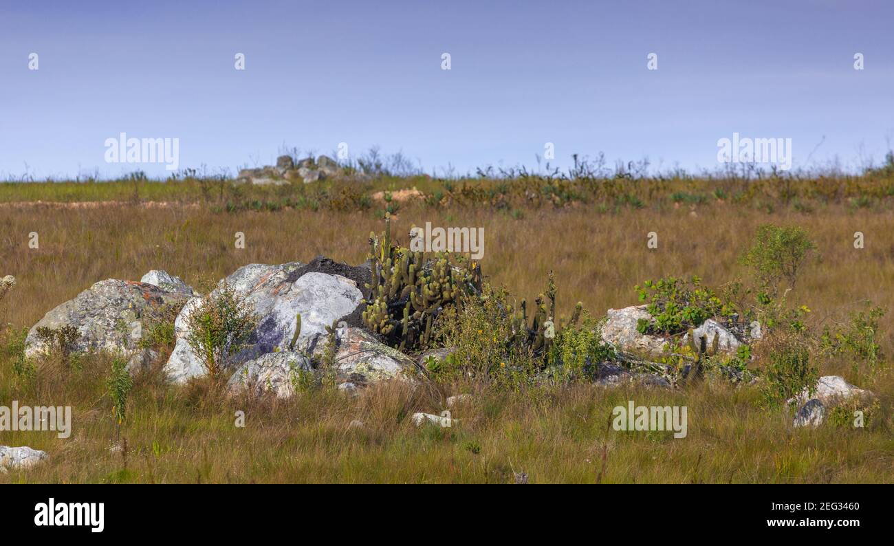 Gouvêia Minas Gerais fonte: c8.alamy.com Fonte: c8.alamy.com