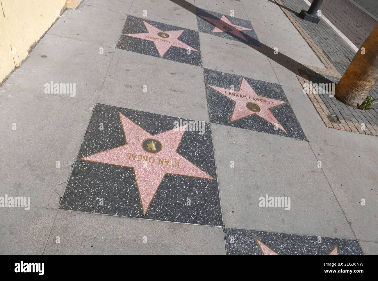 Hollywood, California, USA 17th February 2021 A general view of atmosphere of actress Ali MacGraw Star, actress Farrah Fawcett Star and actor Ryan O'Neal Star on Hollywood Walk of Fame on February 17, 2021 in Hollywood, California, USA. Photo by Barry King/Alamy Stock Photo Stock Photo