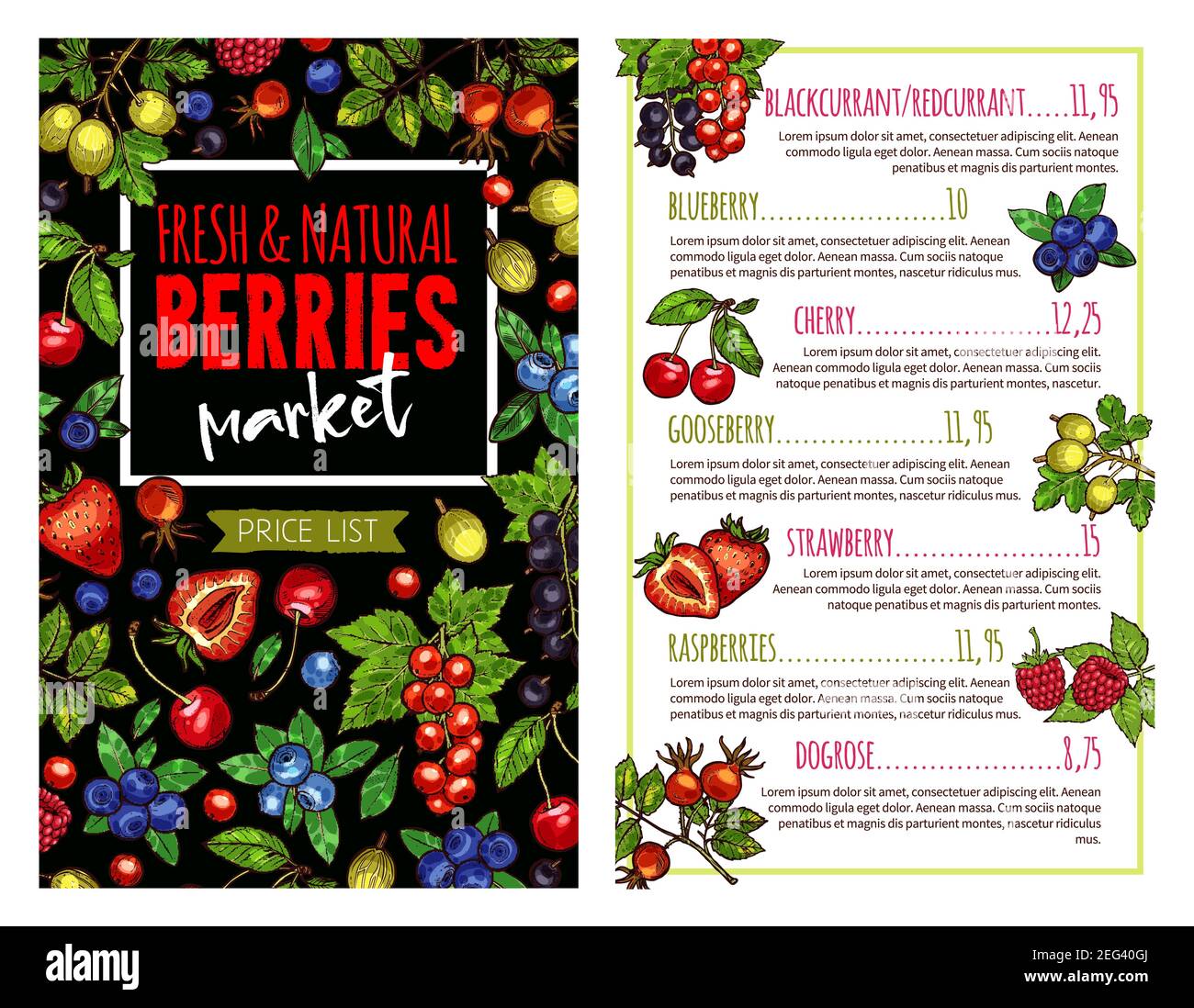 Berry and fruit banner of farm market price list template. Strawberry, cherry and blueberry, raspberry, gooseberry and wild briar, blackcurrant and re Stock Vector