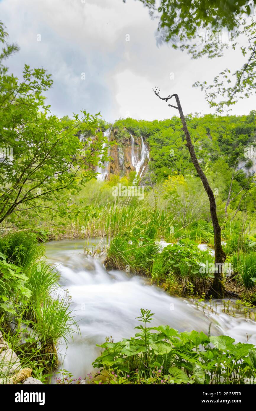 Veliki slap Big waterfall famous place Spring season Green forest in Plitvice lakes Croatia Europe waterflow water flowing flow Stock Photo
