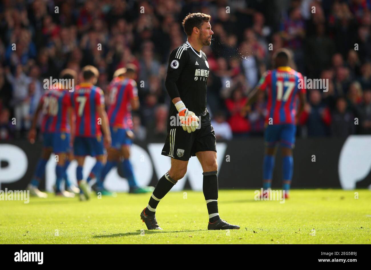 Soccer Football - Premier League - Crystal Palace vs West Bromwich Albion - Selhurst Park, London, Britain - May 13, 2018   West Bromwich Albion's Ben Foster looks dejected after Crystal Palace's Patrick van Aanholt scores their second goal    REUTERS/Hannah McKay    EDITORIAL USE ONLY. No use with unauthorized audio, video, data, fixture lists, club/league logos or 'live' services. Online in-match use limited to 75 images, no video emulation. No use in betting, games or single club/league/player publications.  Please contact your account representative for further details. Stock Photo