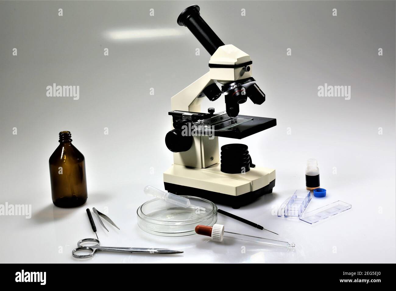 scientist looking through microscope Stock Photo