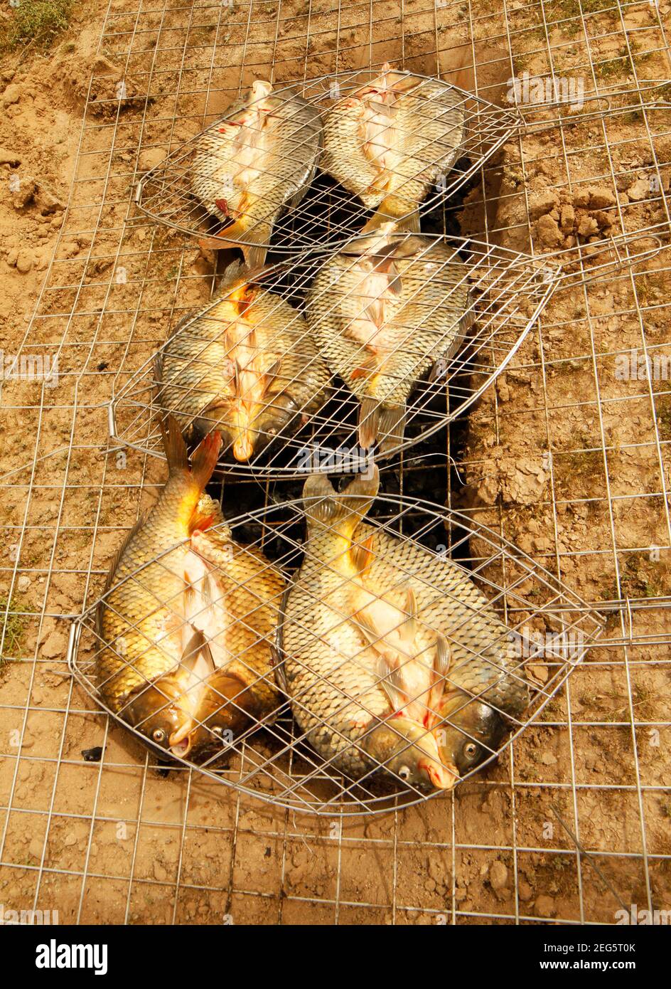 Iraqi grilled fish masgouf, national dish of Iraq, cooked in a simple earth oven with a clamshell grill. Stock Photo
