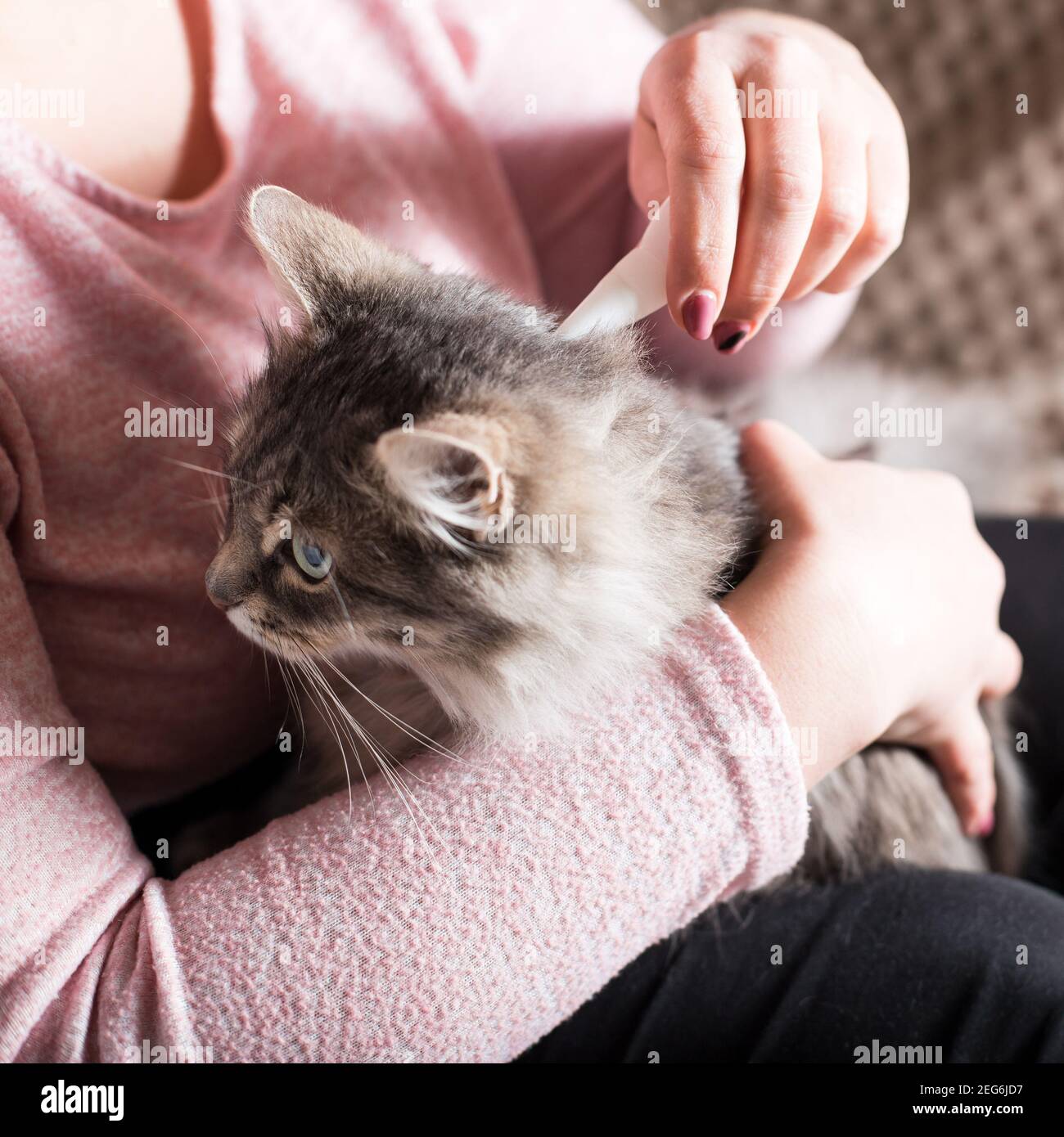 Can I Give My Puppy A Flea Bath