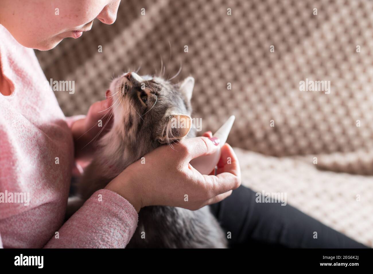 Flea bath hires stock photography and images Alamy