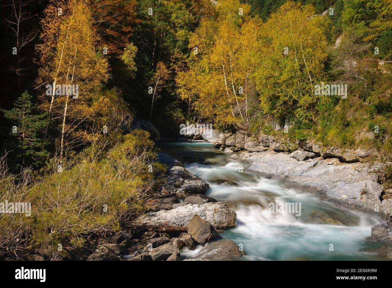 Ara River in the Bujaruelo valley in autumn (Ordesa and Monte Perdido National Park, Pyrenees, Spain) Stock Photo
