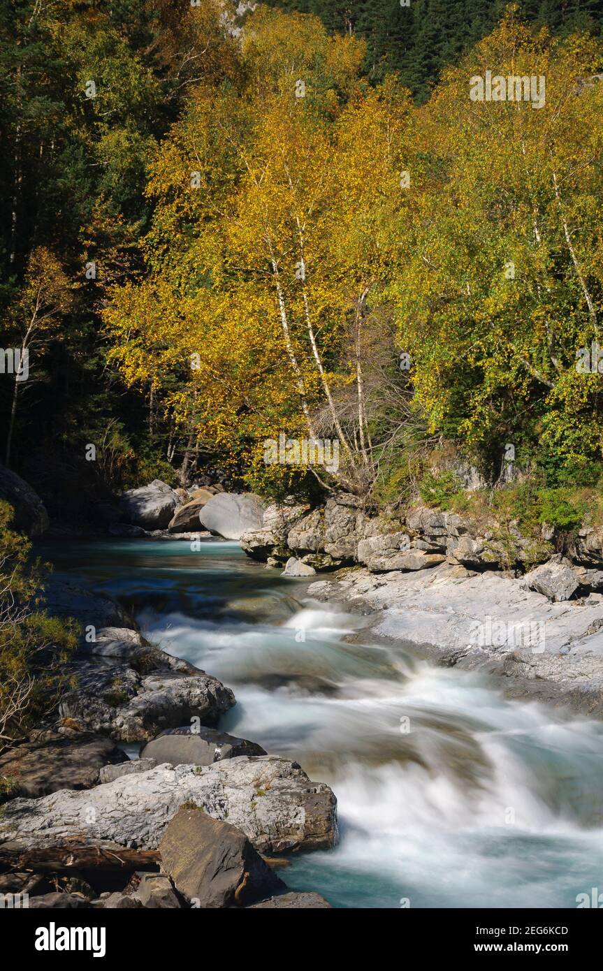 Ara River in the Bujaruelo valley in autumn (Ordesa and Monte Perdido National Park, Pyrenees, Spain) Stock Photo
