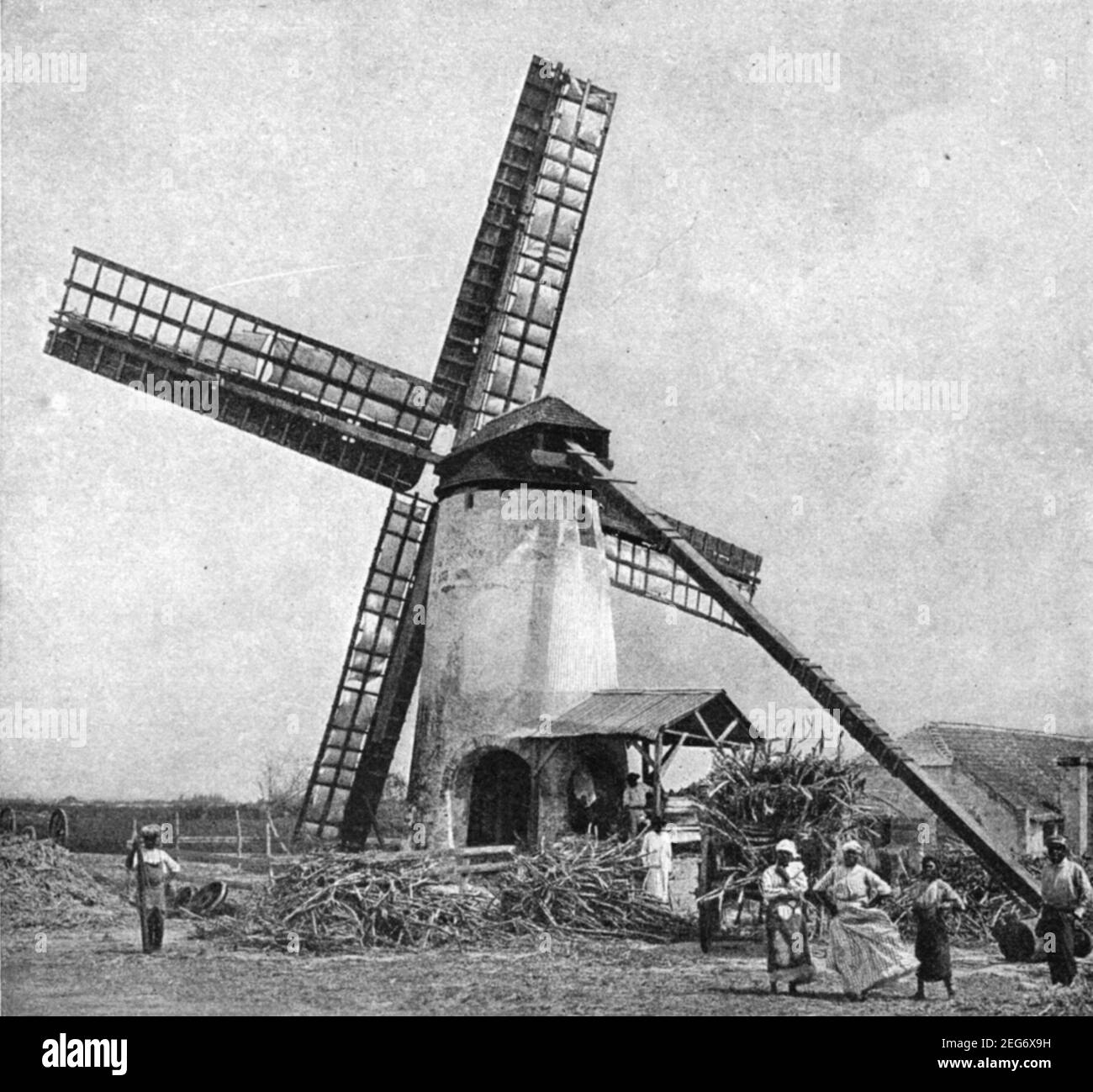 Early 20th century photo of Barbadian men and women working with a wind powered mill for crushing sugar cane in the sugar cane fields of Barbados circa early 1900s during the period when the island was a British colony Stock Photo