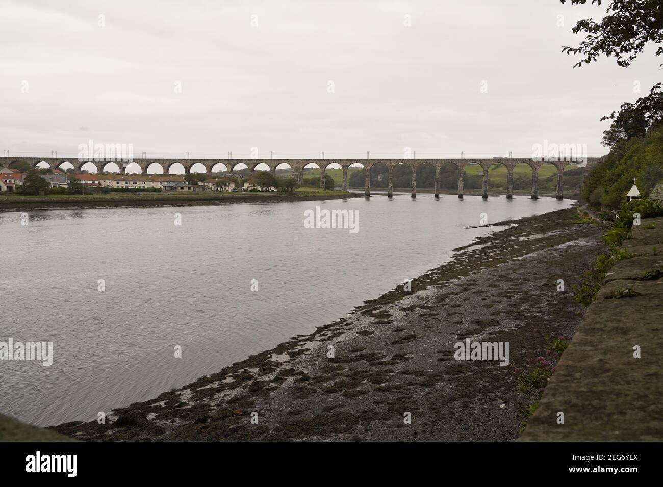 The Royal Border Bridge looping over the river Tweed Stock Photo