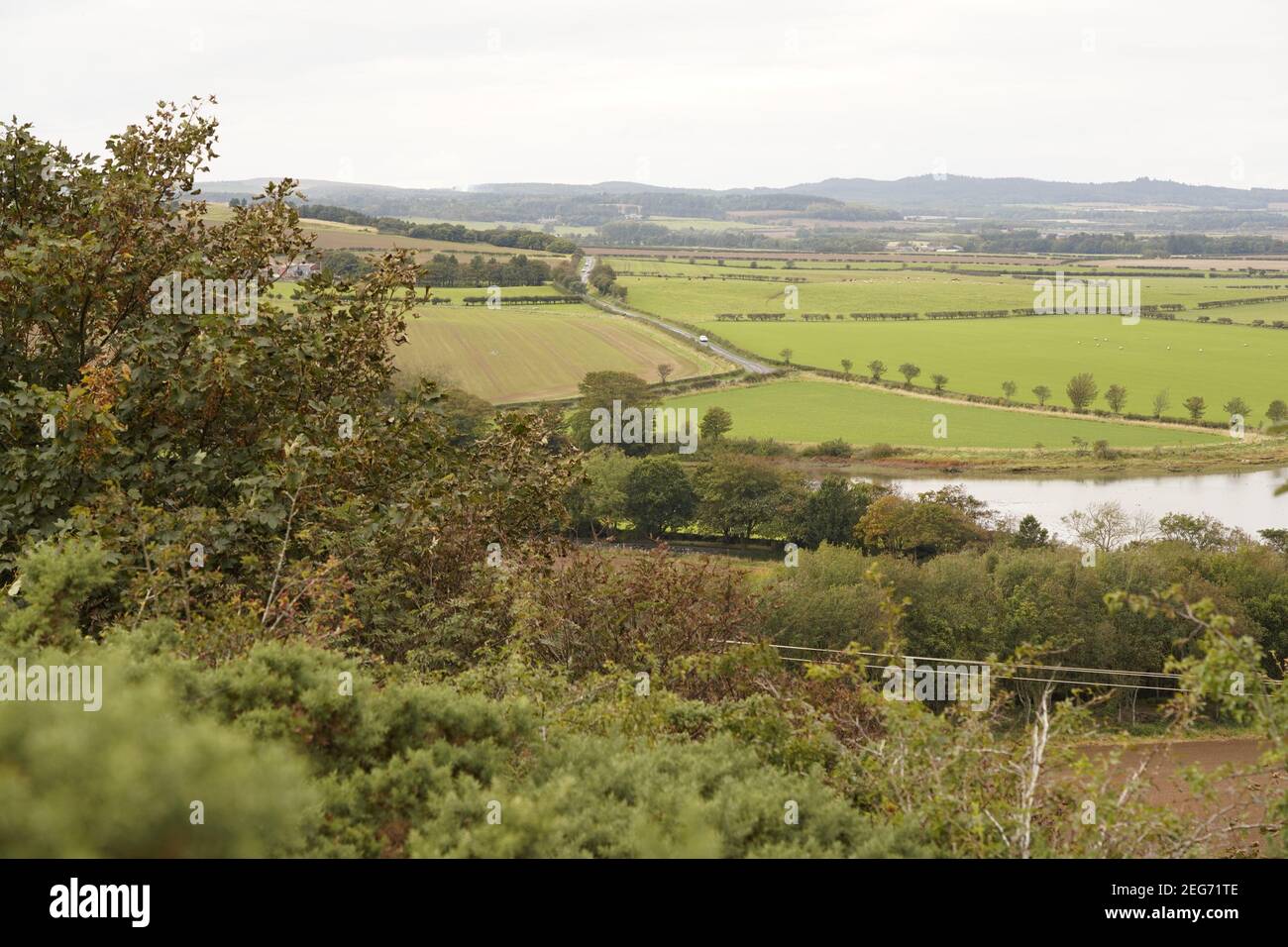 Food producing land side by side with nature Stock Photo Alamy