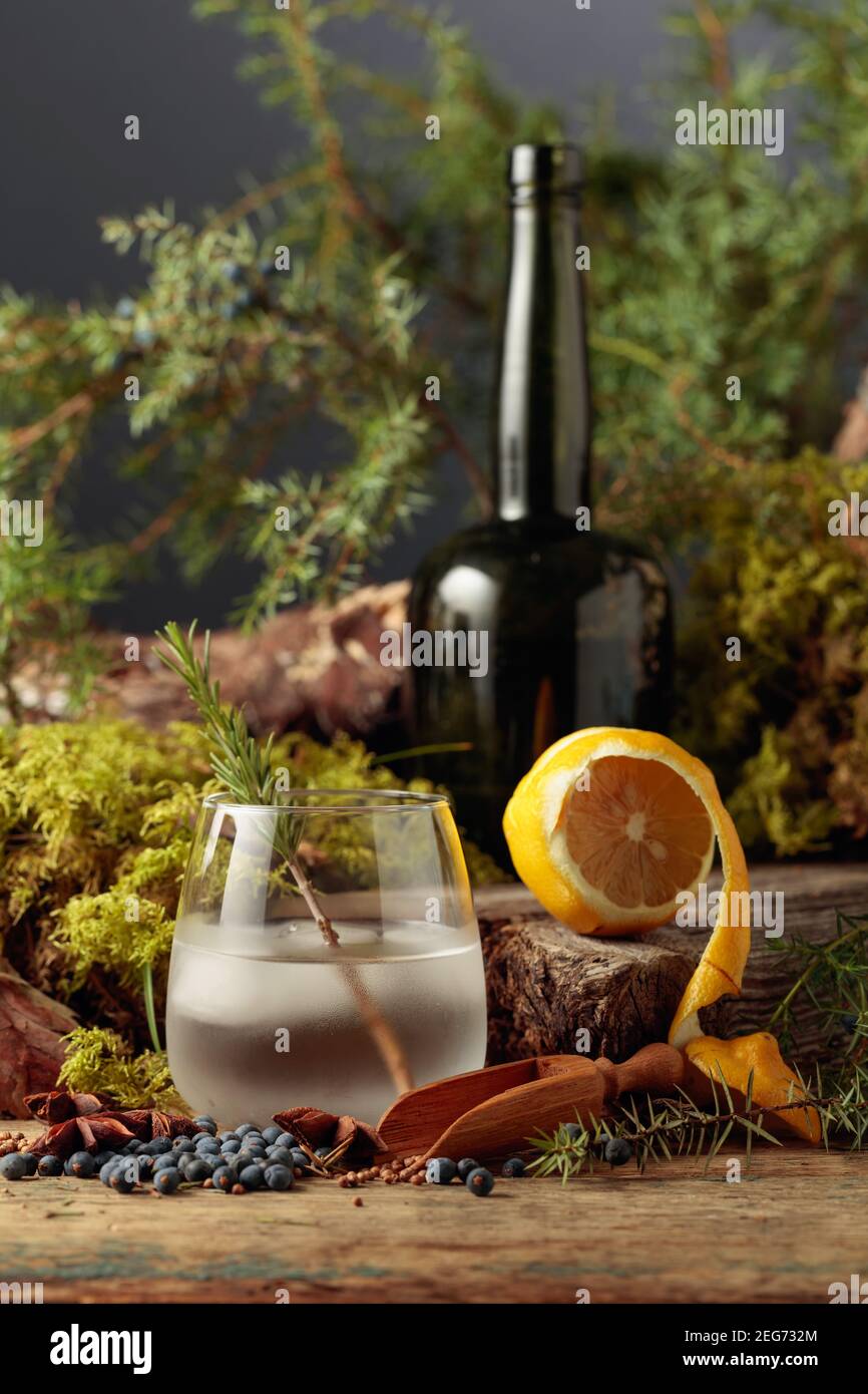 Gintonic cocktail with ice and a sprig of rosemary. Juniper berries, anise, and coriander are