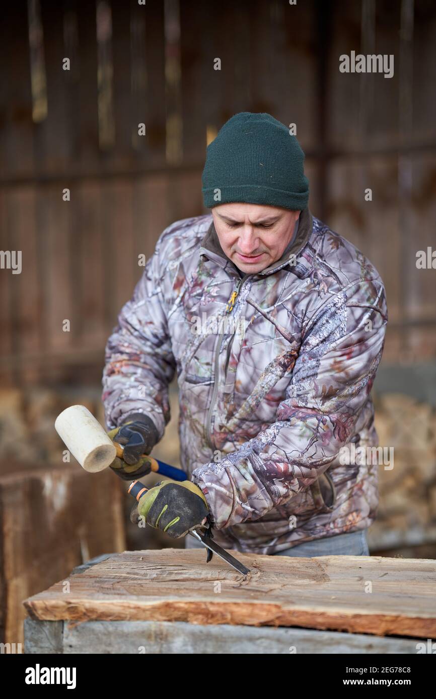 Carpenter working with hammer and chisel on a walnut wood Stock Photo ...