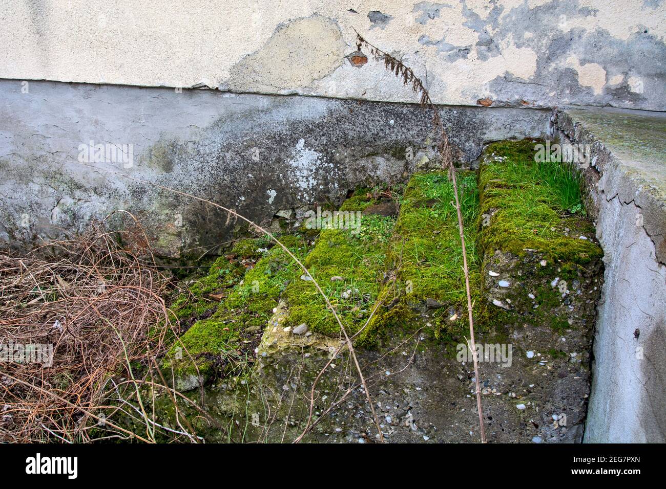 An old abandoned house and an old staircase covered with moss. Nobody lives in the house for many years. Stock Photo