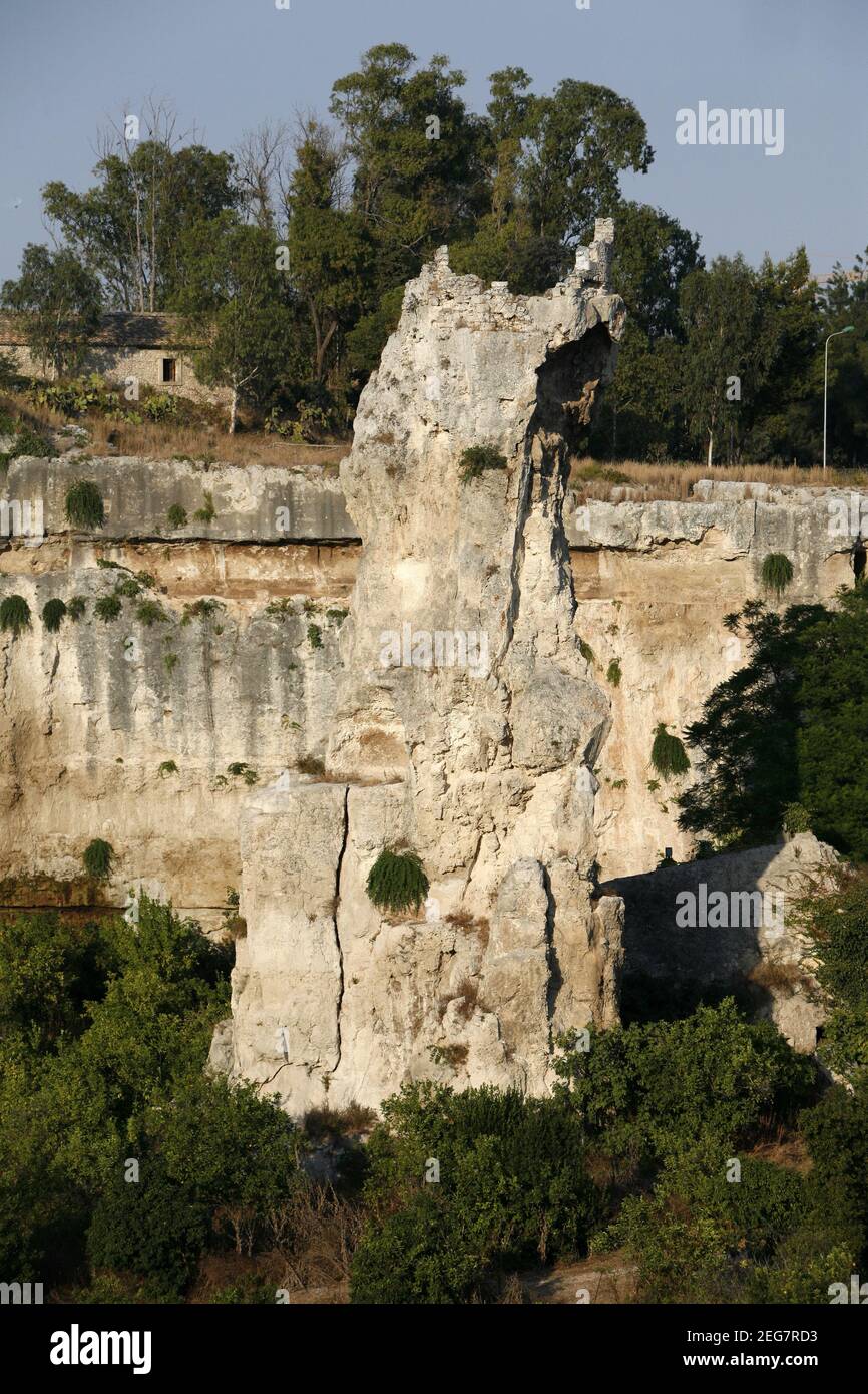 the nature at the Siracusa Parco archeologico in the old Town of Siracusa in the province of Sicily in Italy.   Italy, Sicily, October, 2014 Stock Photo
