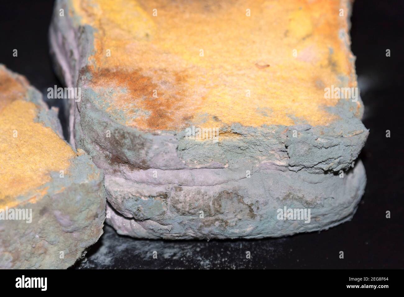 Mouldy toast Stock Photo