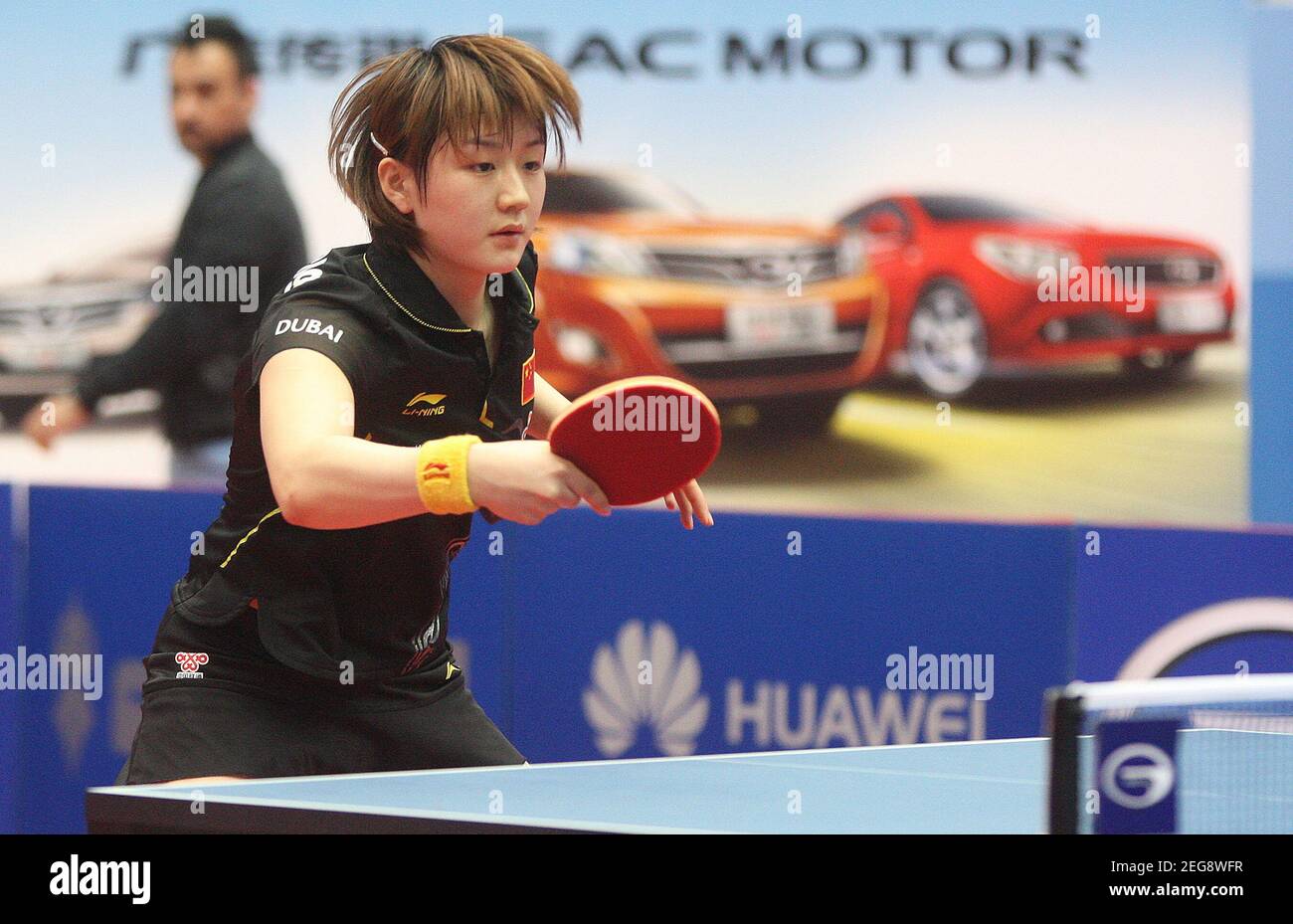 Qasim amin hires stock photography and images Alamy