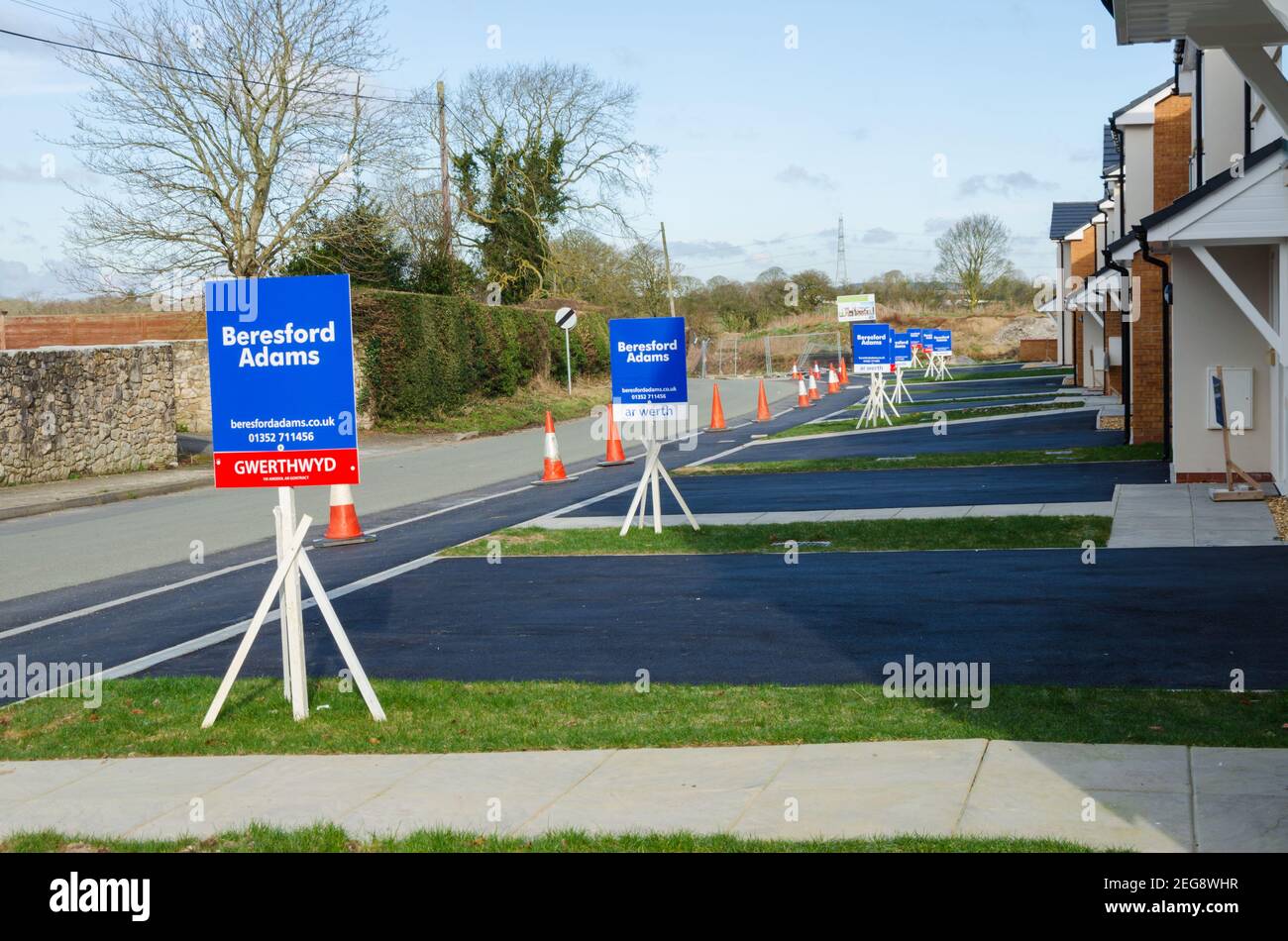 Caerwys, Flintshire; UK: Feb 11, 2021: New built detached homes wit a line of estate agent sale boards on the village outskirts are being marketed by Stock Photo