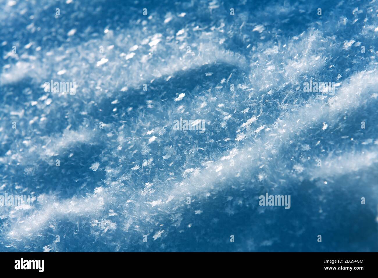 Snow texture with frozen snowflakes background closeup Stock Photo