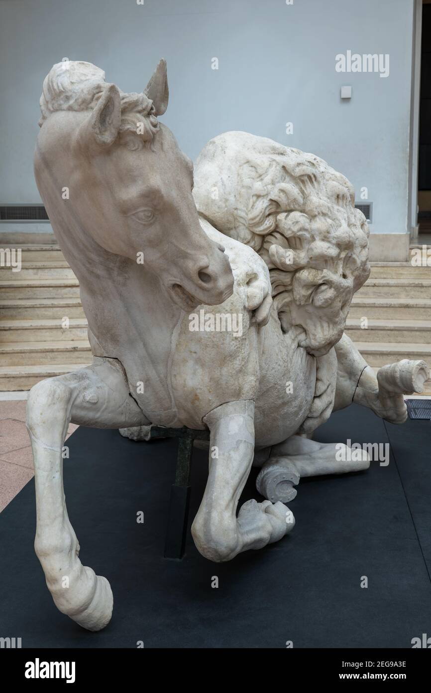Lion Attacking a Horse marble sculpture (Hellenistic period, 4th century BC) in Capitoline Museums, Rome, Italy Stock Photo