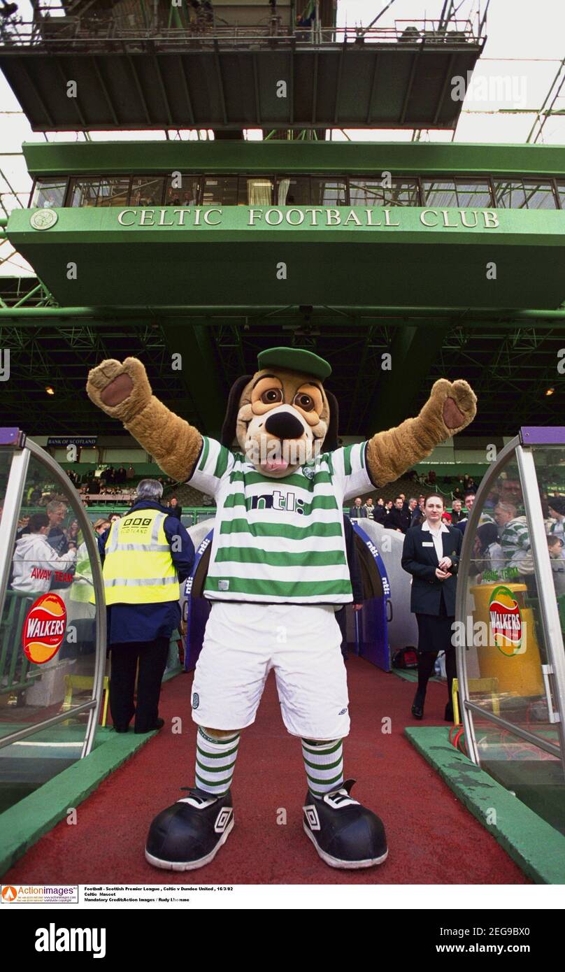 Celtic Mascot High Resolution Stock Photography and Images - Alamy