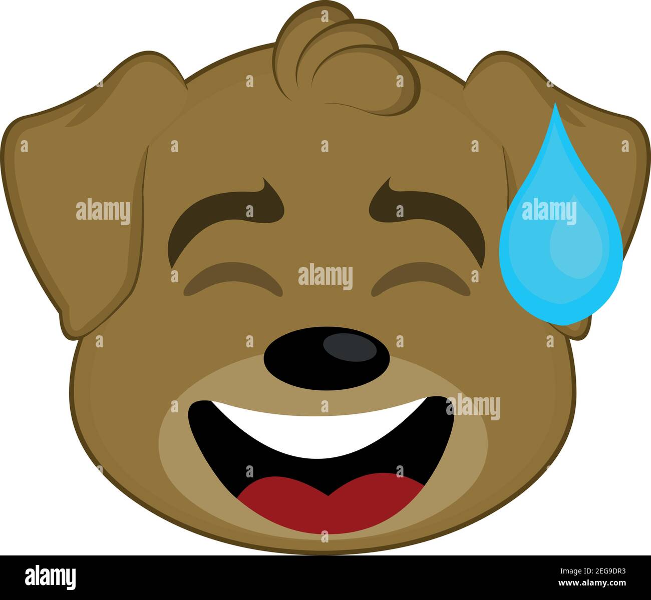 Can Dogs Sweat On Their Head