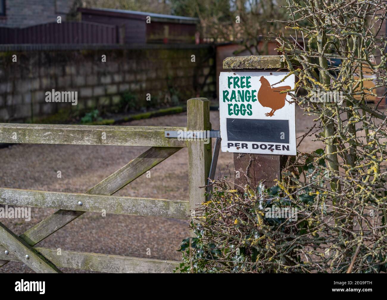 Small Free Range Eggs for sale sign on a wooden gate post in a rural setting. Stock Photo