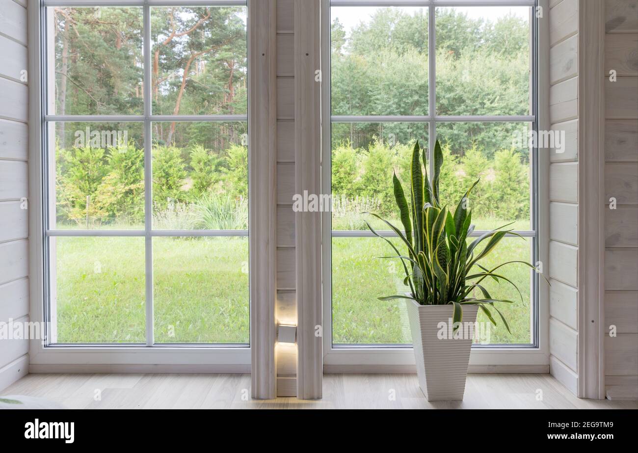 Bright photo studio interior with big window, high ceiling, white wooden floor Stock Photo