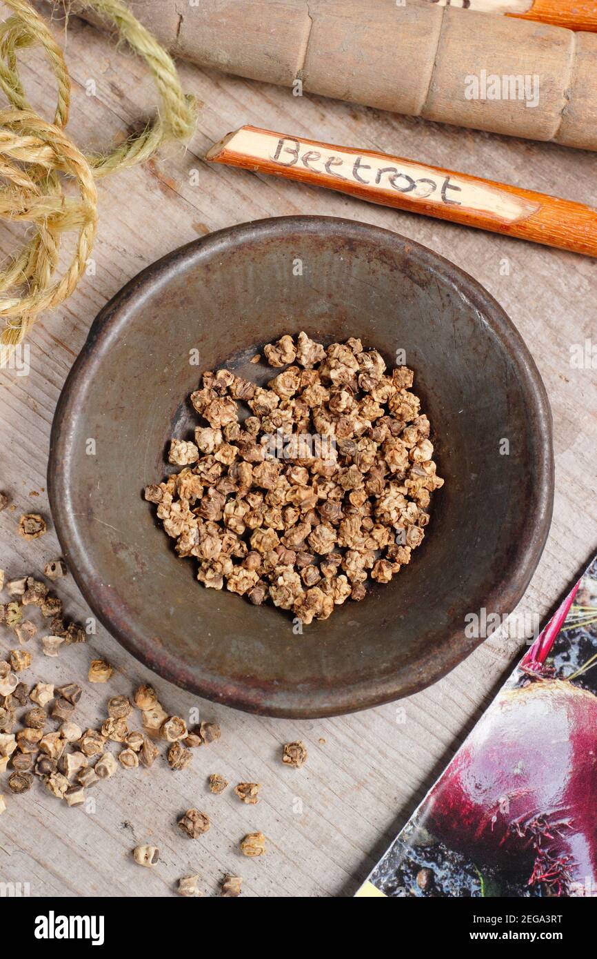 Sow beetroot seed hires stock photography and images Alamy