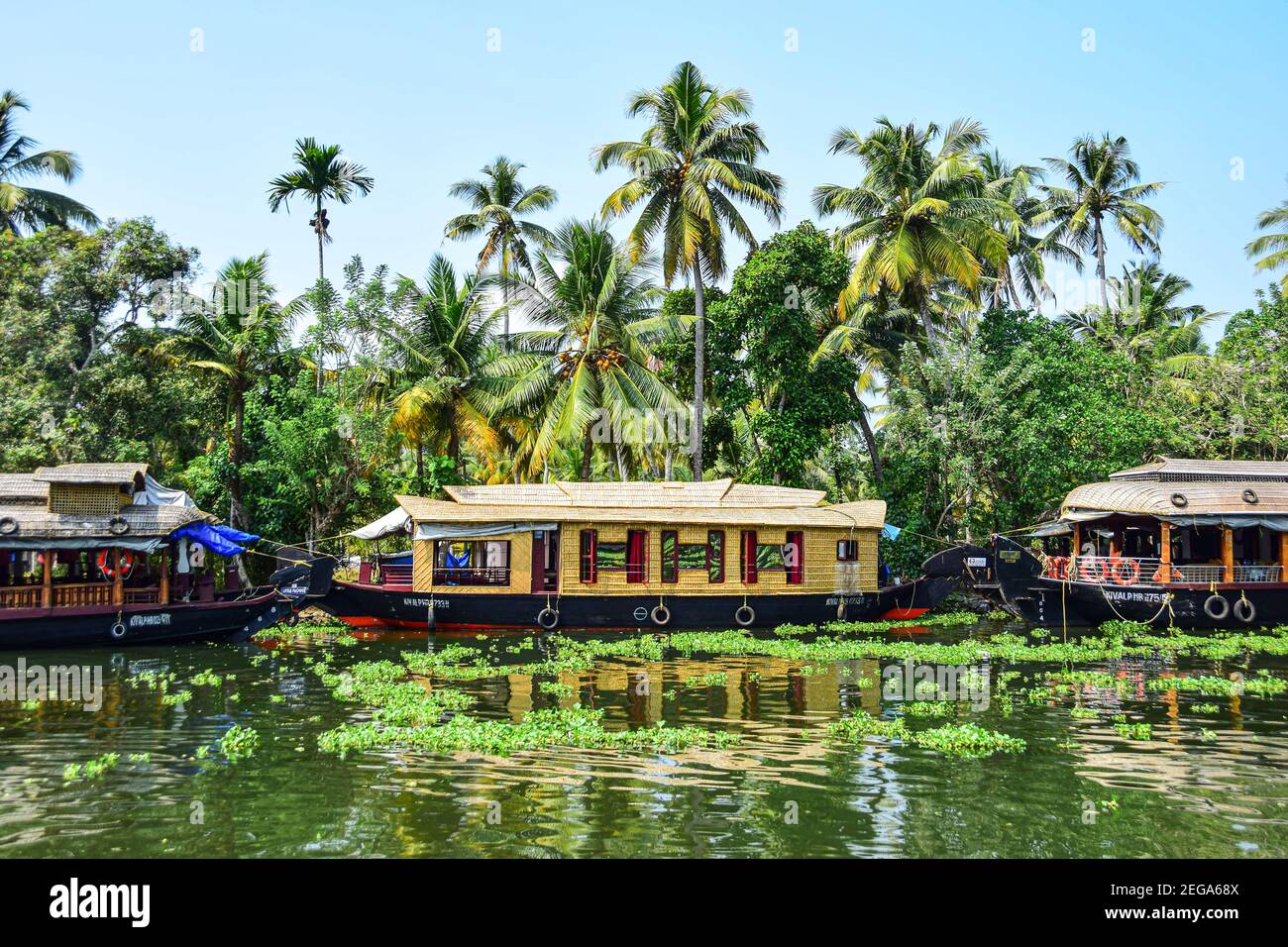 Houseboats, Kerala Backwaters, Kerala, India Stock Photo