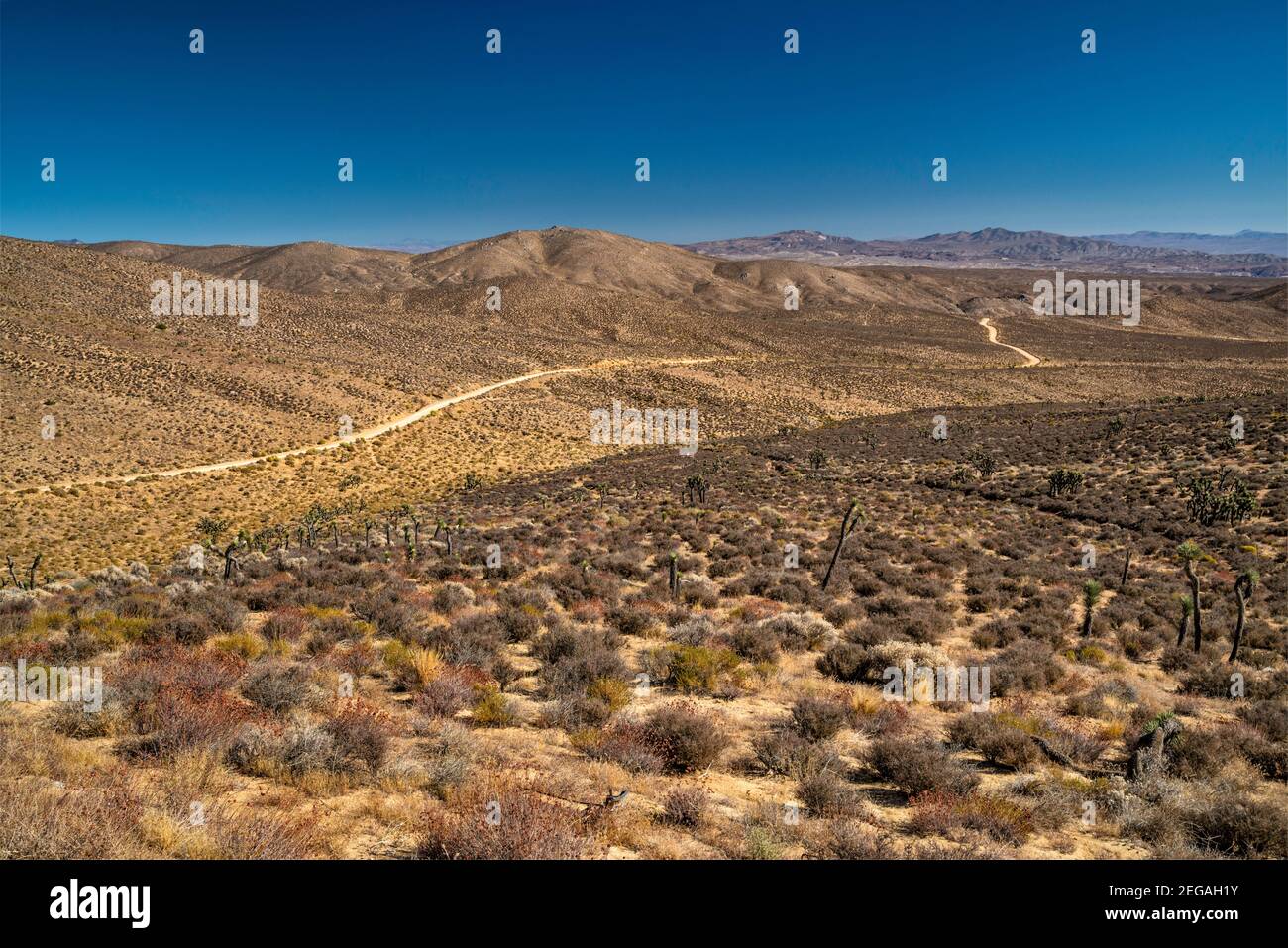 Jawbone Canyon Road, near Hoffman Summit, Jawbone–Butterbredt Area of Critical Environmental Concern, Sierra Nevada, Mojave Desert, California, USA Stock Photo