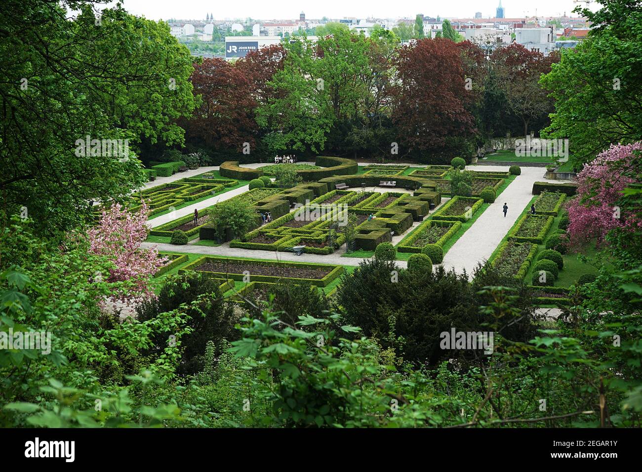 Rose Garden in Humboldthain park, Berlin Stock Photo - Alamy