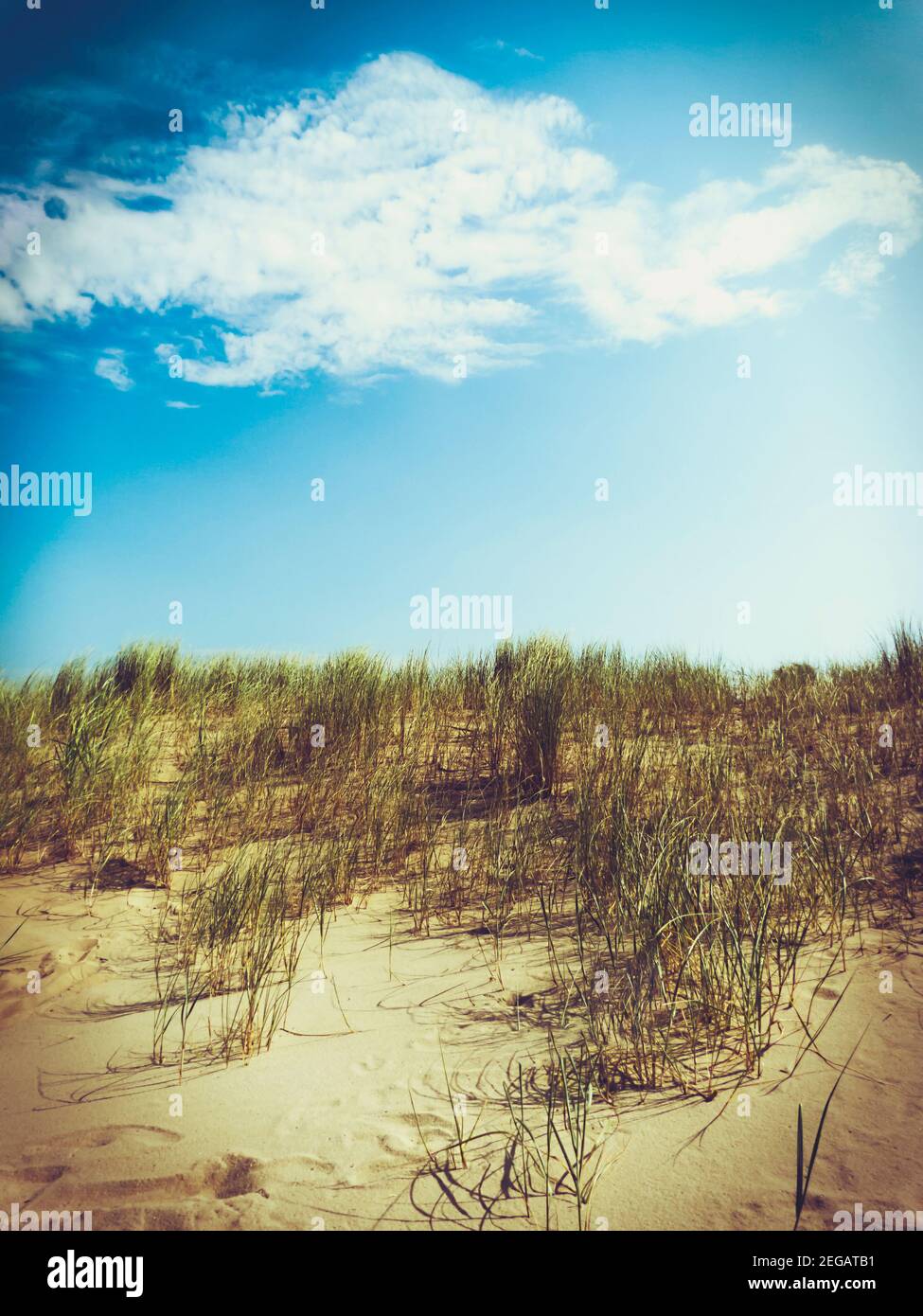 Dunes with retro look and dark vignette Stock Photo