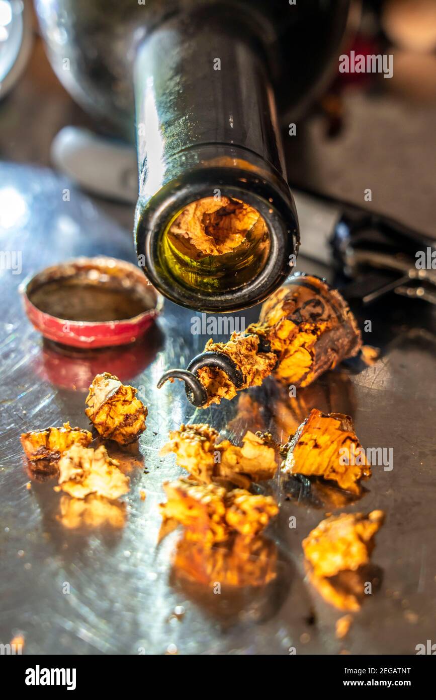 Wine cork core, pulled from old, overaged wine bottles, partly crumbly, softened, rotten, Stock Photo
