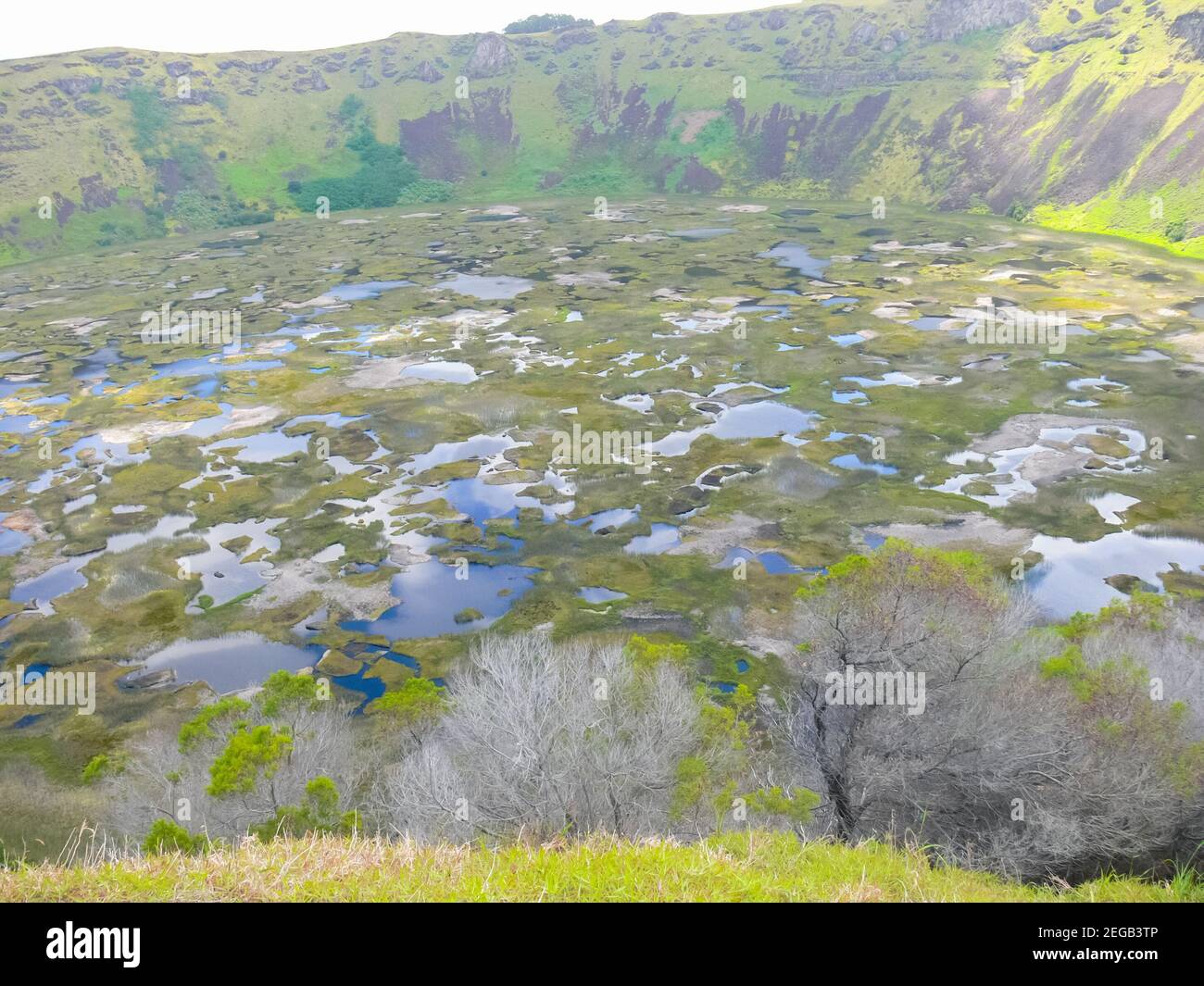 Crater of an extinct snuck on Easter Island. The nature of the island