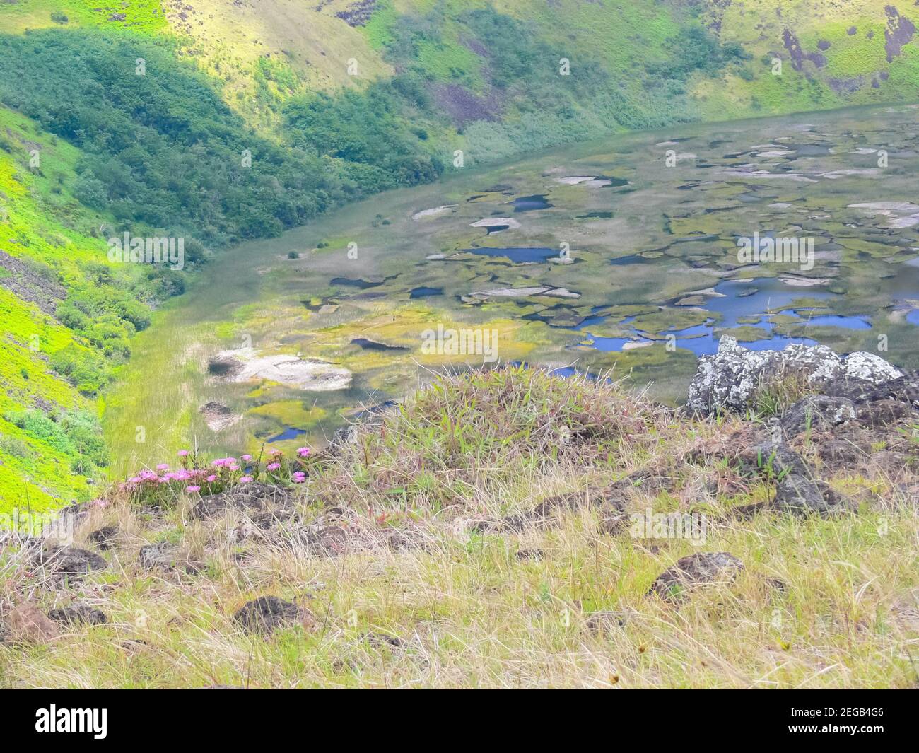 Crater of an extinct snuck on Easter Island. The nature of the island