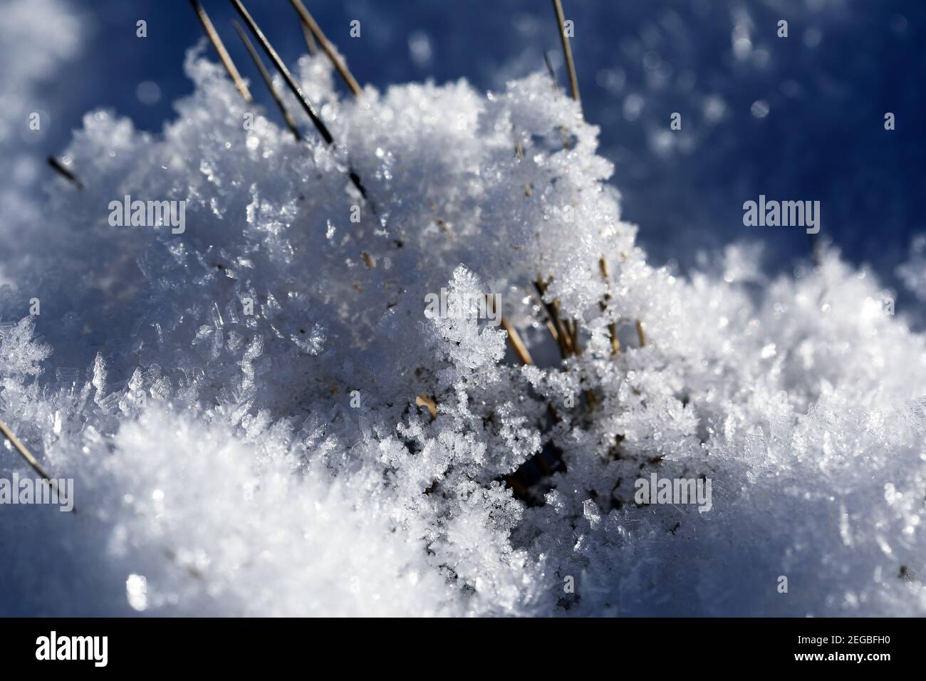 Ice crystals on the ground on a freezing cold day in winter in Scotland Stock Photo