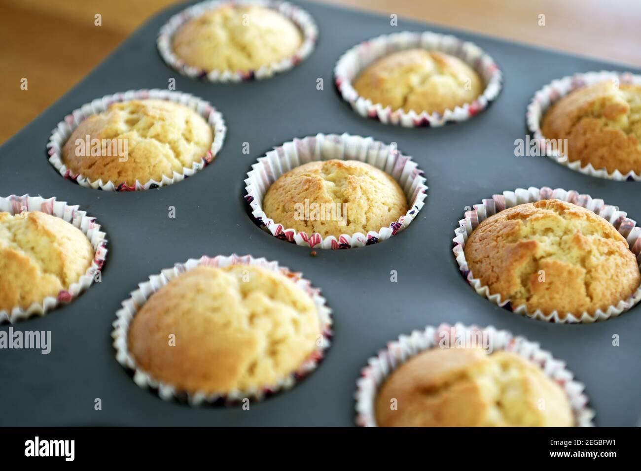 Fairy cakes in paper cases just out of the oven Stock Photo