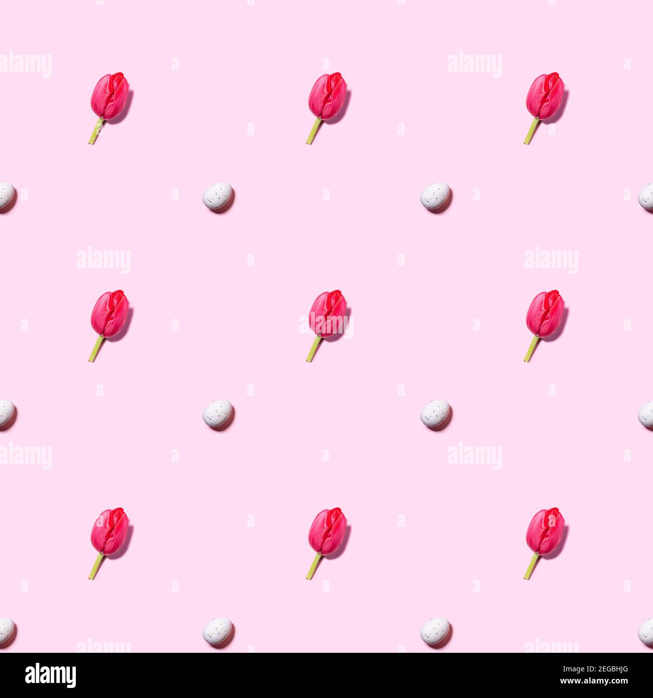 Pink tulips over pink background Stock Photo