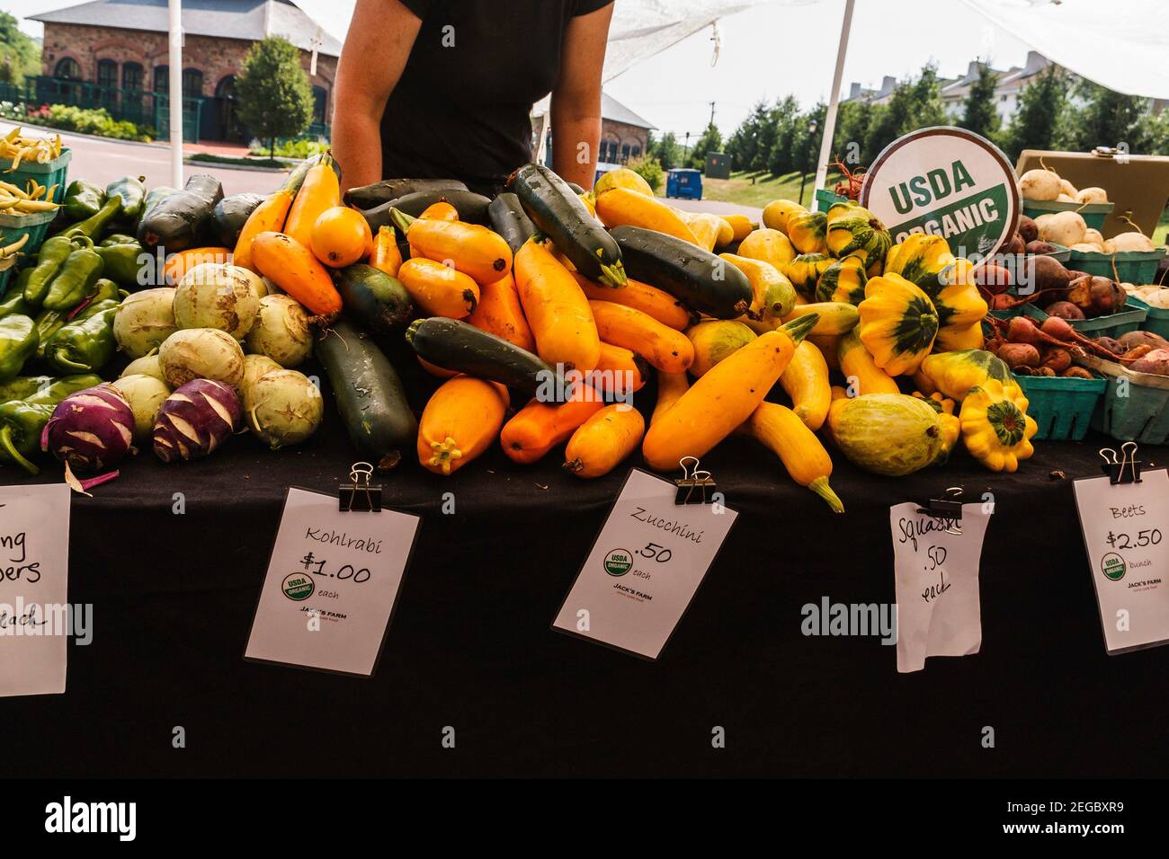 A variety of fresh organic produce colorfully displayed on a farm stand table. Stock Photo