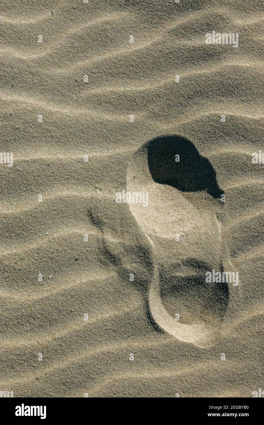 Lone, single, deep footprint moving away in rippled beach sand. Stock Photo