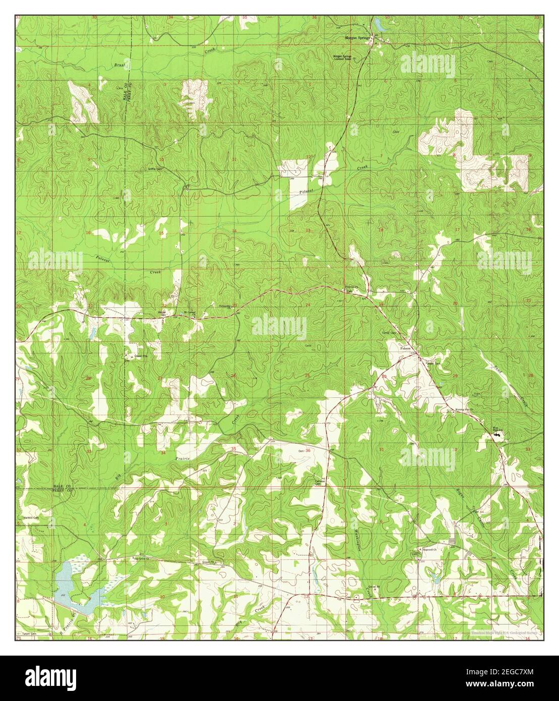 Morgan Springs, Alabama, map 1979, 1:24000, United States of America by Timeless Maps, data U.S. Geological Survey Stock Photo