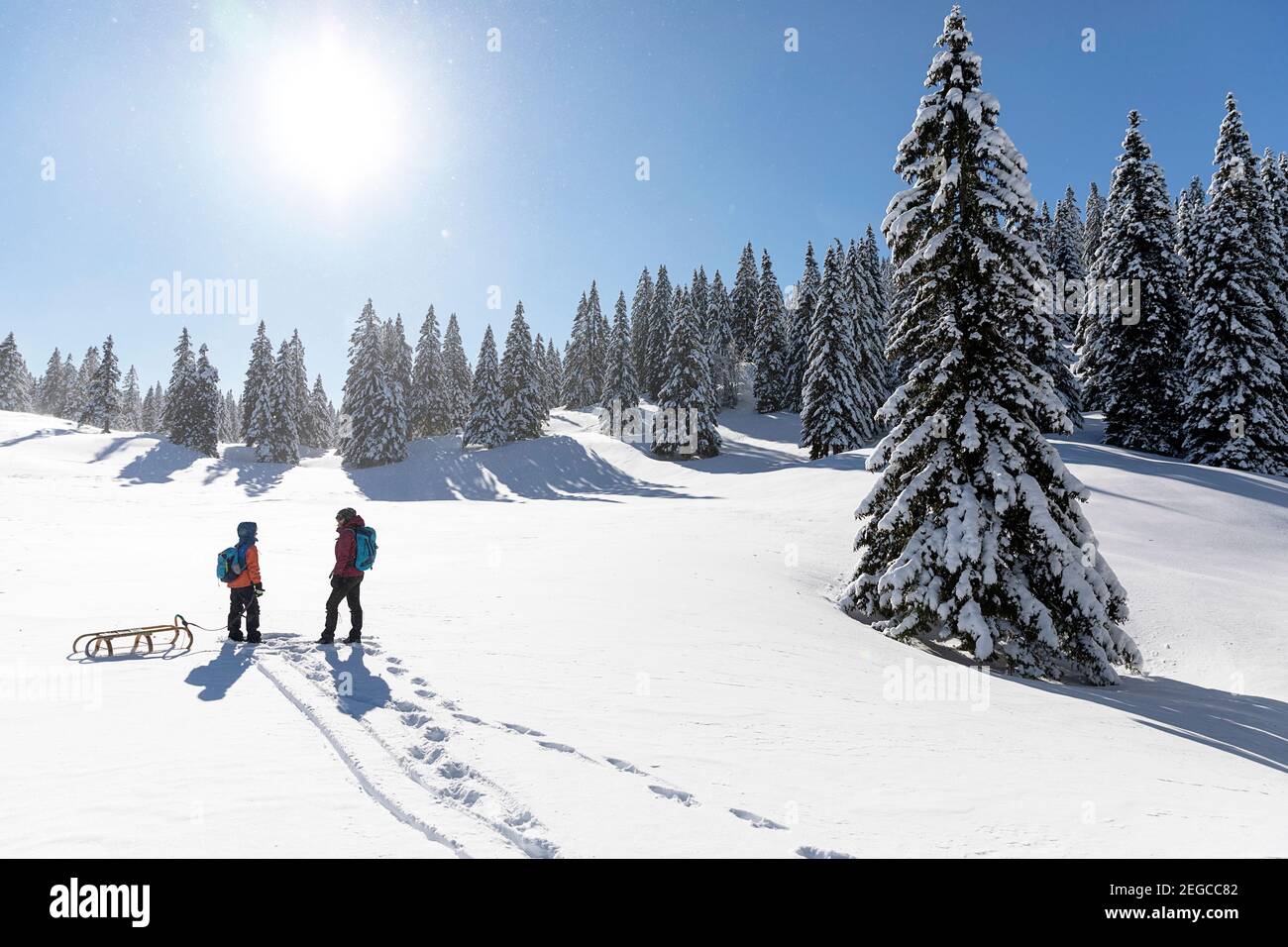 Mother and son towing a sled in the snow, winter fairytale landscape at Velika planina, Slovenia Stock Photo